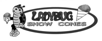 LADYBUG SNOW CONES