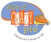 SLICE OF CRAZY PIE   DISHING OUT A LAUGH AT LIFE