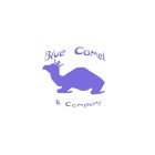 BLUE CAMEL & COMPANY