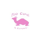 PINK CAMEL & COMPANY