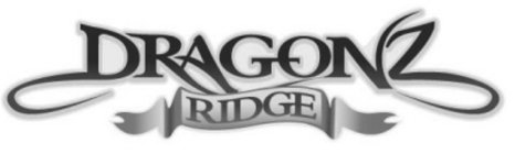 DRAGONZ RIDGE