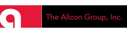 A THE ALICON GROUP, INC