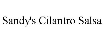 SANDY'S CILANTRO SALSA