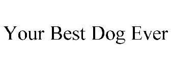 YOUR BEST DOG EVER