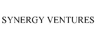 SYNERGY VENTURES