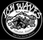 ICY WAVES SURF SHOP YAKUTAT, ALASKA THE FAR NORTH SHORE