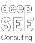 DEEP SEE CONSULTING