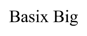 BASIX BIG
