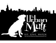 THE URBAN MUTT SIT. STAY. WATCH. WWW.THEURBANMUTT.TV