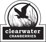 CLEARWATER CRANBERRIES