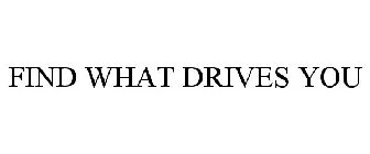 FIND WHAT DRIVES YOU