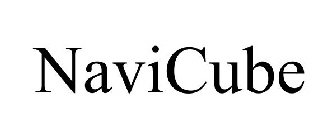 NAVICUBE