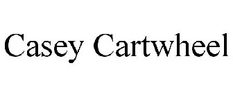 CASEY CARTWHEEL