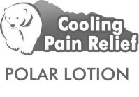 POLAR LOTION COOLING PAIN RELIEF