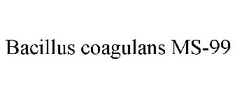 BACILLUS COAGULANS MS-99