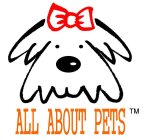 ALL ABOUT PETS