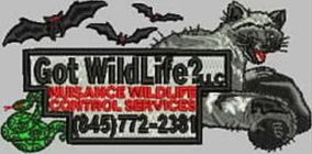 GOT WILDLIFE? LLC NUISANCE WILDLIFE CONTROL SERVICES (845)772-2381