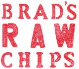 BRAD'S RAW CHIPS