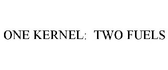 ONE KERNEL: TWO FUELS