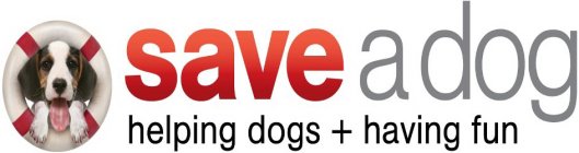 SAVE A DOG HELPING DOGS + HAVING FUN