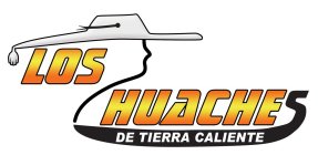 LOS HUACHES DE TIERRA CALIENTE