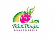 BINH THUAN DRAGON FRUIT