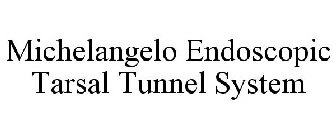 MICHELANGELO ENDOSCOPIC TARSAL TUNNEL SYSTEM