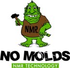 NMR NO MOLDS NMR TECHNOLOGY