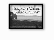 HUDSON VALLEY SALAD GREENS