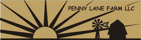 PENNY LANE FARM LLC