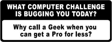 WHAT COMPUTER CHALLENGE IS BUGGING YOU TODAY? WHY CALL A GEEK WHEN YOU CAN GET A PRO FOR LESS?