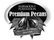 FAIRMOUNT PLANTATION PREMIUM PECANS HALVES