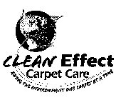 CLEAN EFFECT CARPET CARE SAVING THE ENVIRONMENT ONE CARPET AT A TIME