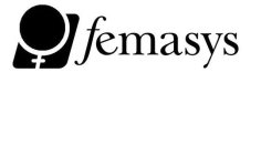 FEMASYS