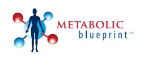 METABOLIC BLUEPRINT