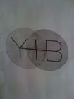 Y+B