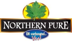 NORTHERN PURE UN-CARBONATED...YES!