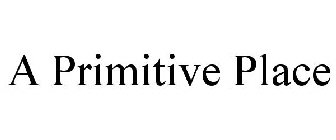 A PRIMITIVE PLACE