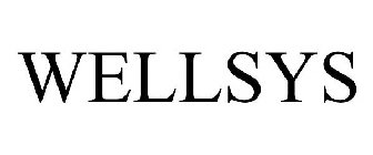 WELLSYS