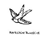 BERKSHIRE BLUEBIRD