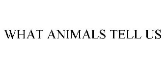 WHAT ANIMALS TELL US