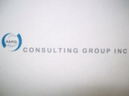 AMG CONSULTING GROUP INC
