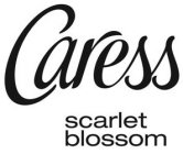 CARESS SCARLET BLOSSOM