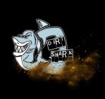 DIRT SHARK