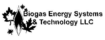 BIOGAS ENERGY SYSTEMS & TECHNOLOGY LLC