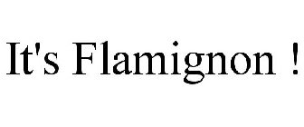 IT'S FLAMIGNON !