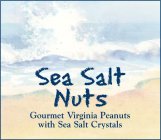 SEA SALT NUTS GOURMET VIRGINIA PEANUTS WITH SEA SALT CRYSTALS