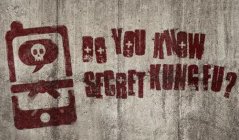 DO YOU KNOW SECRET KUNG FU?