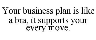 YOUR BUSINESS PLAN IS LIKE A BRA, IT SUPPORTS YOUR EVERY MOVE.