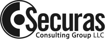 SECURAS CONSULTING GROUP LLC